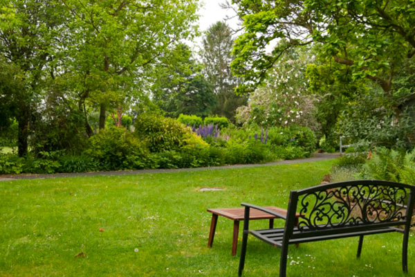 Nightingales Of Kidderminster